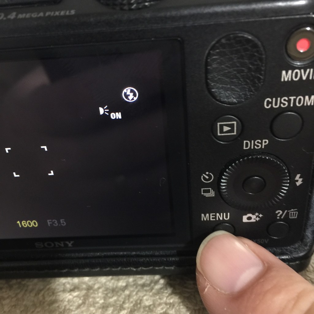 20150927su0041-sony-dsc-hx50v-white-balance-IMG_2063