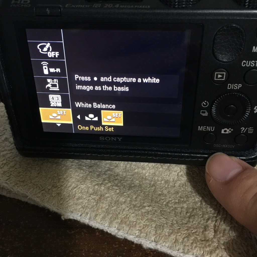 20150927su0041-sony-dsc-hx50v-white-balance-IMG_2066